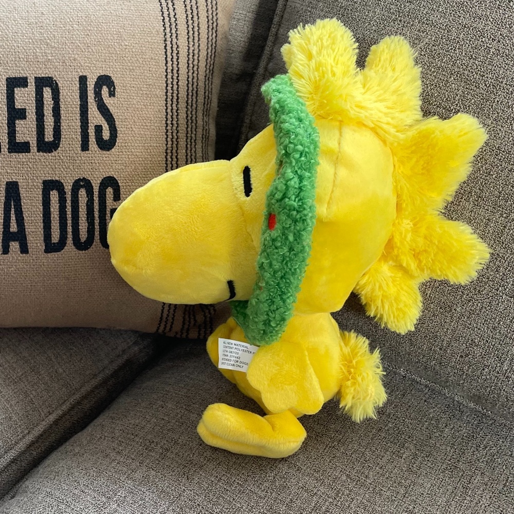 BarkBox Woodstock NWOT